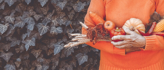 Wall Mural - Senior woman holding colorful autumn vegetables and fruits. Thanksgiving, holiday fall festival. Elderly wrinkled hands with harvest showing farm products. Food sharing, volunteer help.