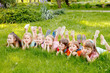 © Andrey - A group of happy children of boys and girls run in the Park on the grass on a Sunny summer day . The concept of ethnic friendship, peace, kindness, childhood