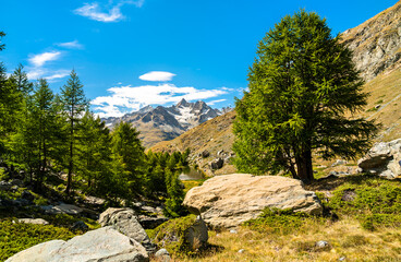 Canvas Print - View of Swiss Alps near Zermatt