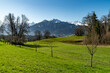 Panorama Aussicht über das Tal auf die verschneiten Berge von Brand und Nenzing. Wiesen mit Frühlingsblumen und Bäumen an einem sonnigen Tag. Walgau im besten Licht. Vorarlberg