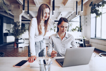 Wall Mural - Two young female colleagues discussing business project together in office