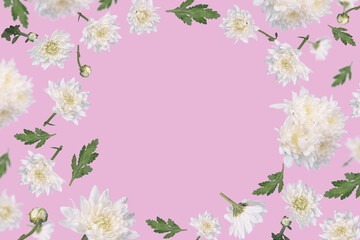  Beautiful spring or summer layout with  flying white flowers and leaves on pastel pink background, trendy floral frame