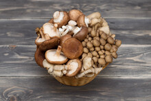 Variety Of Uncooked Wild Forest Mushrooms In A Basket Isolated On Gray Background.