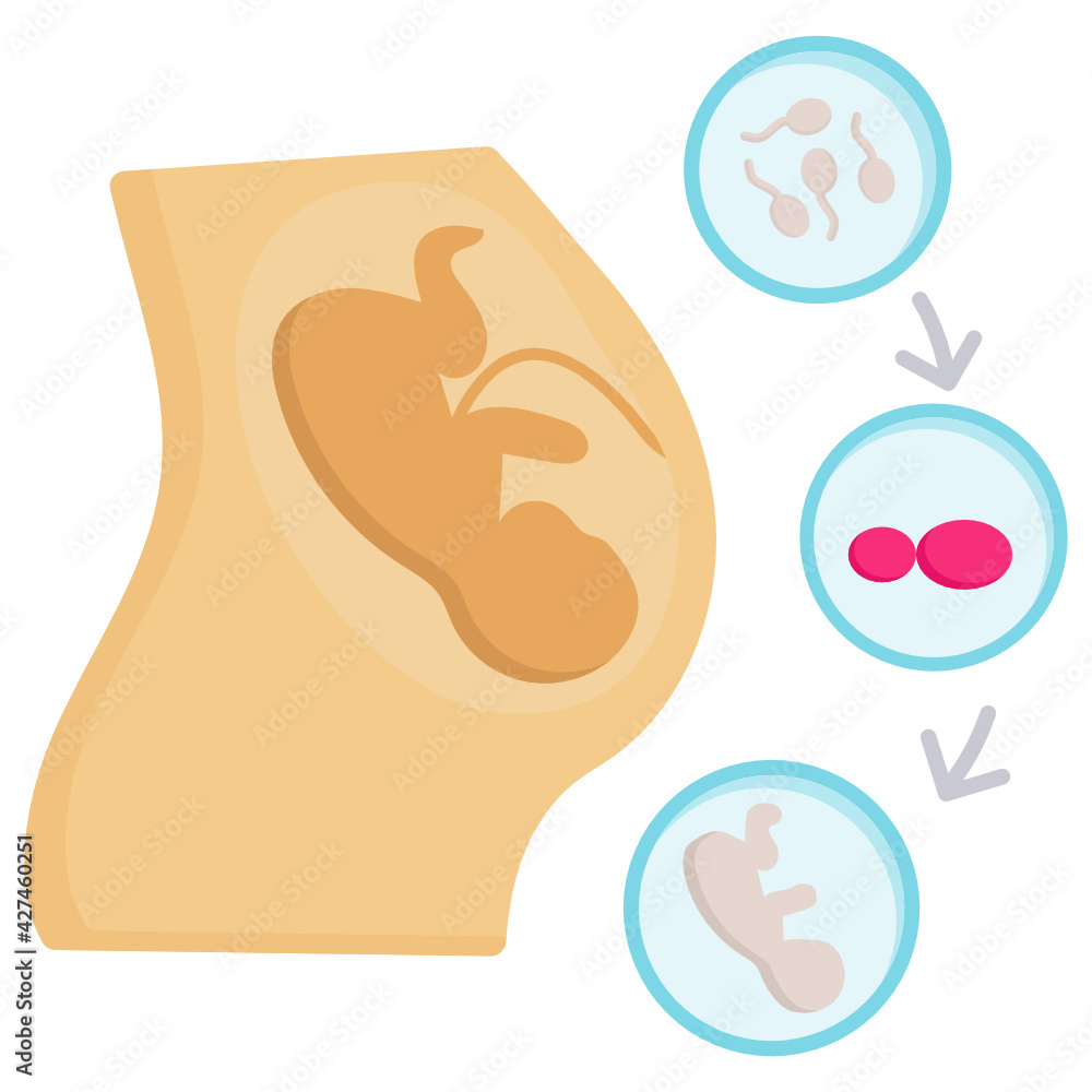 IVF Process and Stages Concept Vector color Icon Design, In Vitro ...