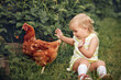 © natabook2015 - little girl playing with chicken in the garden