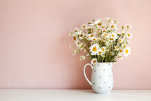 Front View Of White Daisy Flowers In Vase On Table Against Empty Pink Blank Wall With Copy Space For Your Advertisement, Design, Template Or Information. Interior, Summer And Decoration Concept