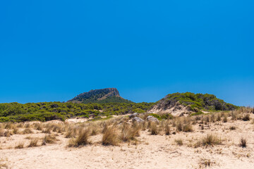 Wall Mural - Hiking trail near Cala Mesquida beach on Mallorca island in the Mediterranean sea