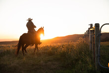 Silhouette Of Cowboy And Horse At Sunset