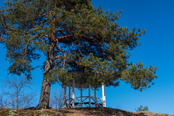 Canvas Print - beautiful gazebo on a hill next to a pine tree