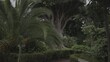 Mamut Baum im Stadt Park