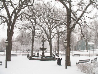 Wall Mural - winter in the park