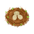 Birds nest with 3 eggs, branches and leaves. Vector illustration isolated on white background.