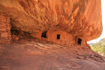 Poster - Indian ruins in Mule Canyon, Bear's Ears National Monument in Utah, USA