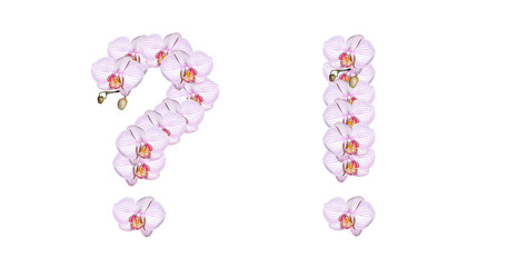 Wall Mural - Exclamation mark and question mark made from orchid flowers