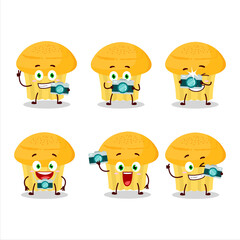 Wall Mural - Photographer profession emoticon with cheese muffin cartoon character