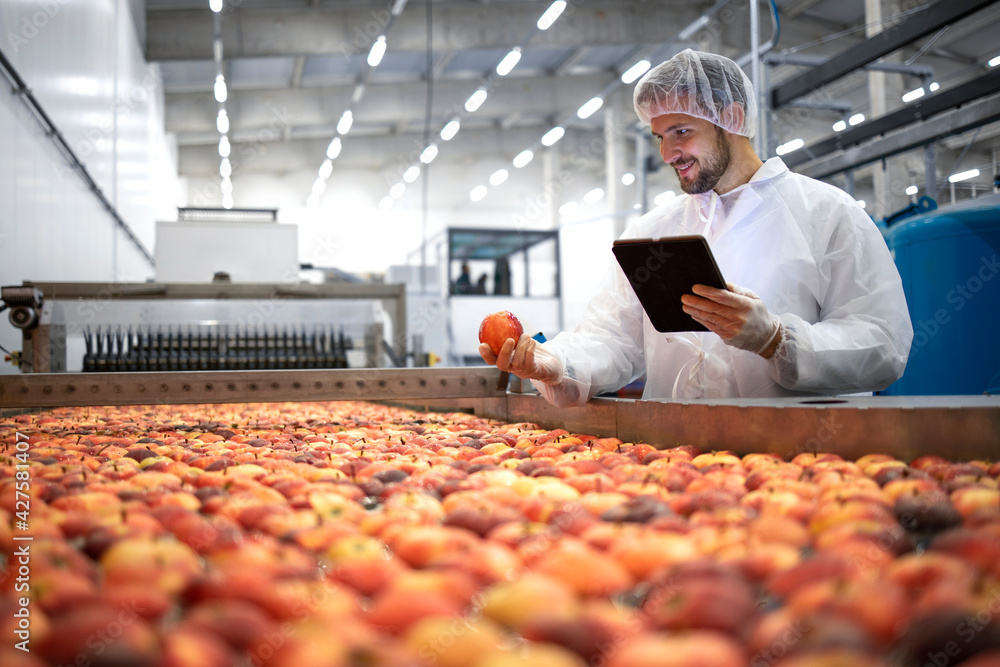 Technologist in food processing factory controlling process of apple fruit selection and production. - obrazy, fototapety, plakaty 