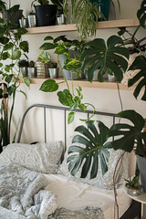 Wall Mural - urban jungle interiour with tropical frowers in bedroom