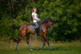 Fototapeta Konie - A girl rider trains riding a horse on a spring day.