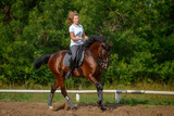 Fototapeta Konie - A girl rider trains riding a horse on a spring day.