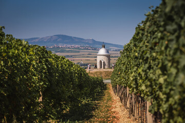 Wall Mural - South Moravia