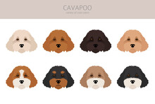 Cavapoo Mix Breed Clipart. Different Poses, Coat Colors Set