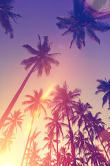 Wall Mural - tropical palm tree with sun light on sunset sky and cloud with colorful bokeh abstract background.