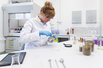 Wall Mural - Chemist working with terpene CBD crystals in laboratory