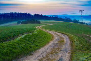 Canvas Print - Foggy morning in the field