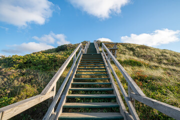 Wall Mural - stairs to top of the uwe-düne the highest dune on the island of sylt, schleswig-holstein, germany