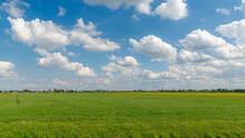 Summer Countryside Landscape With Flat And Low Land Under Blue Sky, Typical Dutch Polder And Water Land With Green Meadow, Small Canal Or Ditch On The Field Along The Road, Noord Holland, Netherlands.