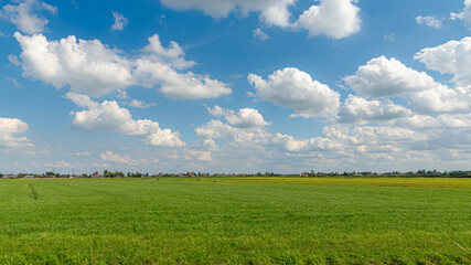 Summer countryside landscape with flat and low land under blue sky, Typical Dutch polder and water land with green meadow, Small canal or ditch on the field along the road, Noord Holland, Netherlands.