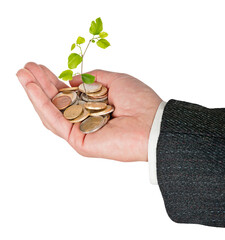 Wall Mural - man Investing to green business