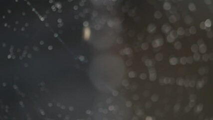 Spiderweb gets splashed with water in the morning. Macro video