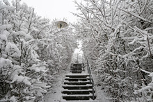 View Of The Stairs Going Up Surrounded By Trees Full Of Snow In The Park.