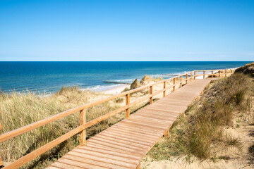 Wall Mural - wooden boardwalk along the rotes kliff (red cliff) on the island of sylt, schleswig-holstein, german