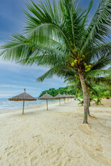 Tien Sa Beach - paradise beach at tropical coast scenery in Da Nang - travel destination in Vietnam