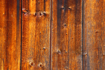 wood tree timber background texture structure backdrop