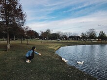 Young Woman Feeding Ducks While Crouching By Lake