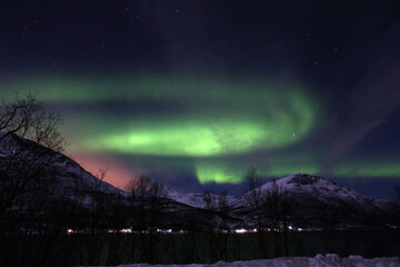 Poster - Miraculous view of green aurora lights above mountains - perfect for wallpapers