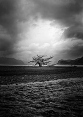 Wall Mural - storm over the sea