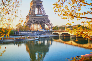 Wall Mural - Scenic view of the Eiffel tower and tree branches with first leaves at early morning