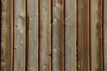 wood tree timber background texture structure backdrop