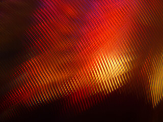 Wall Mural - 3d rendering of red carbon fiber background