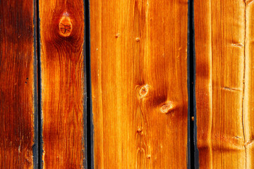 wood tree timber background texture structure backdrop