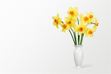  Daffodils.