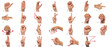 © FABIAN PONCE GARCIA - Language of deaf mute hands. Set of pictures of hands and fingers with sign language on white background. Expressiveness asl gestures alphabetic set