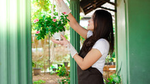Asian Woman Hanging Plants At Home Make Beautiful Decoration