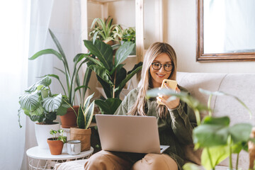 Freelance woman in glasses with mobile phone typing at laptop and working from home office. Happy girl sitting on couch in living room with plants. Distance learning online education and work.