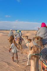 Wall Mural - A caravan of people on camels moves through the sands of the Sahara Desert