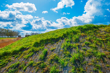 Wall Mural - Dikes in a green grassy field below a blue cloudy sky in sunlight in spring, Almere, Flevoland, The Netherlands, April 13, 2021